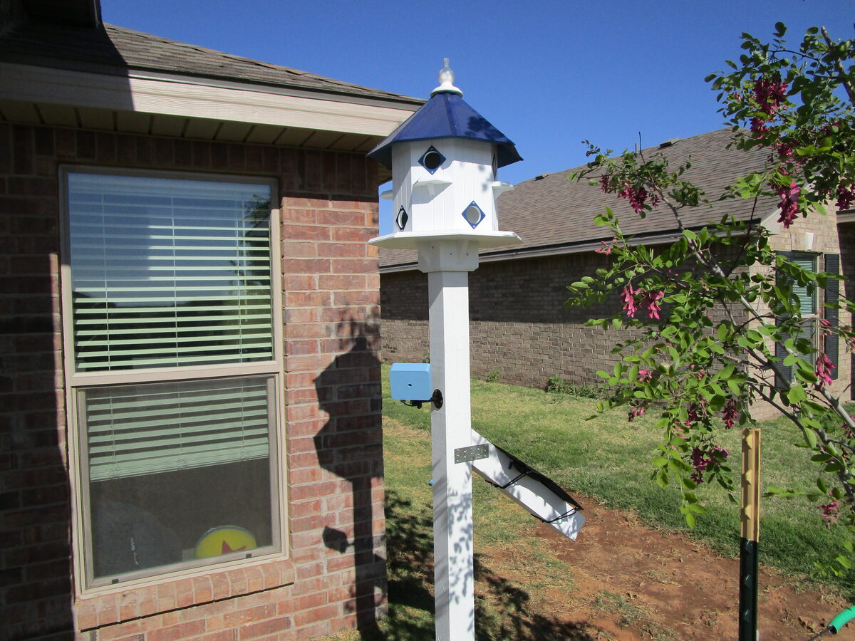 A white birdhouse on a post in a front yard, with a small blue weatherproof camera enclosure and a solar panel mounted below it